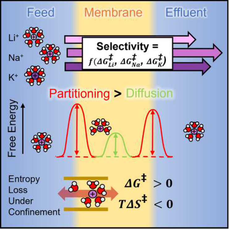 New Research Identifies Bottleneck In Ion Filtering Membranes