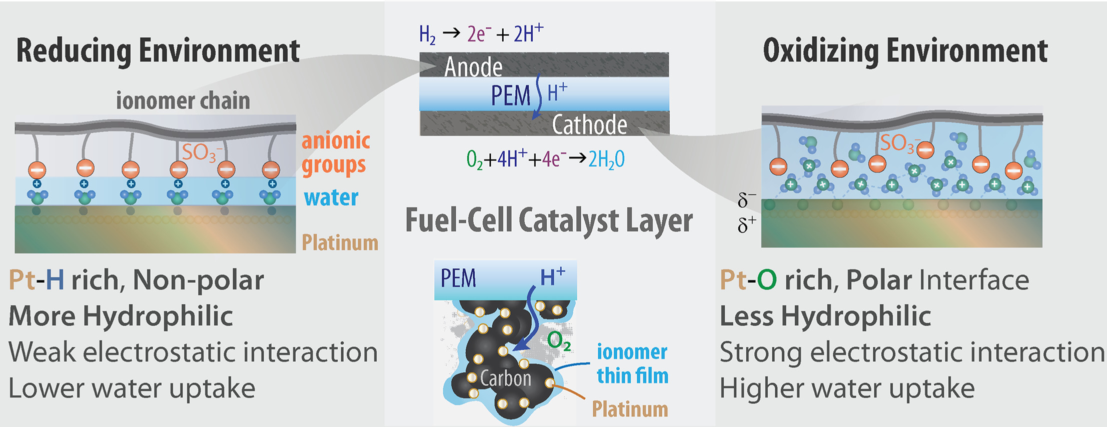 Graphical abstract for the paper "Exploring substrate/ionomer interaction under oxidizing and reducing environments"