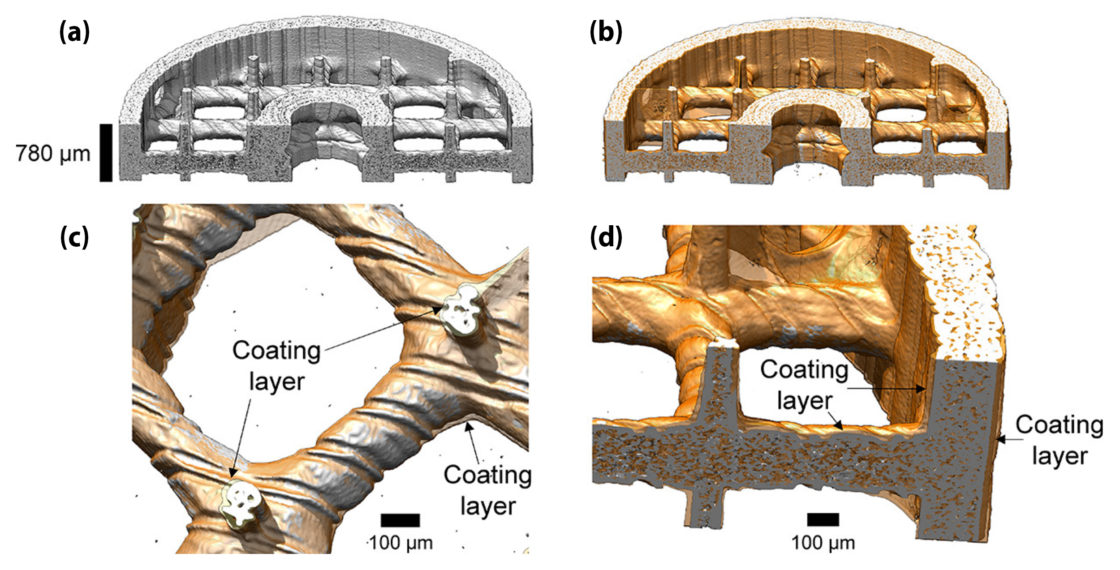 (a) Microtomographic reconstruction of the uncoated scaffold. (b) Superposed reconstruction of uncoated (gray) and coated (orange) absorbers. (c,d) Magnified views at different locations. The arrows denote the polymer coating layer.