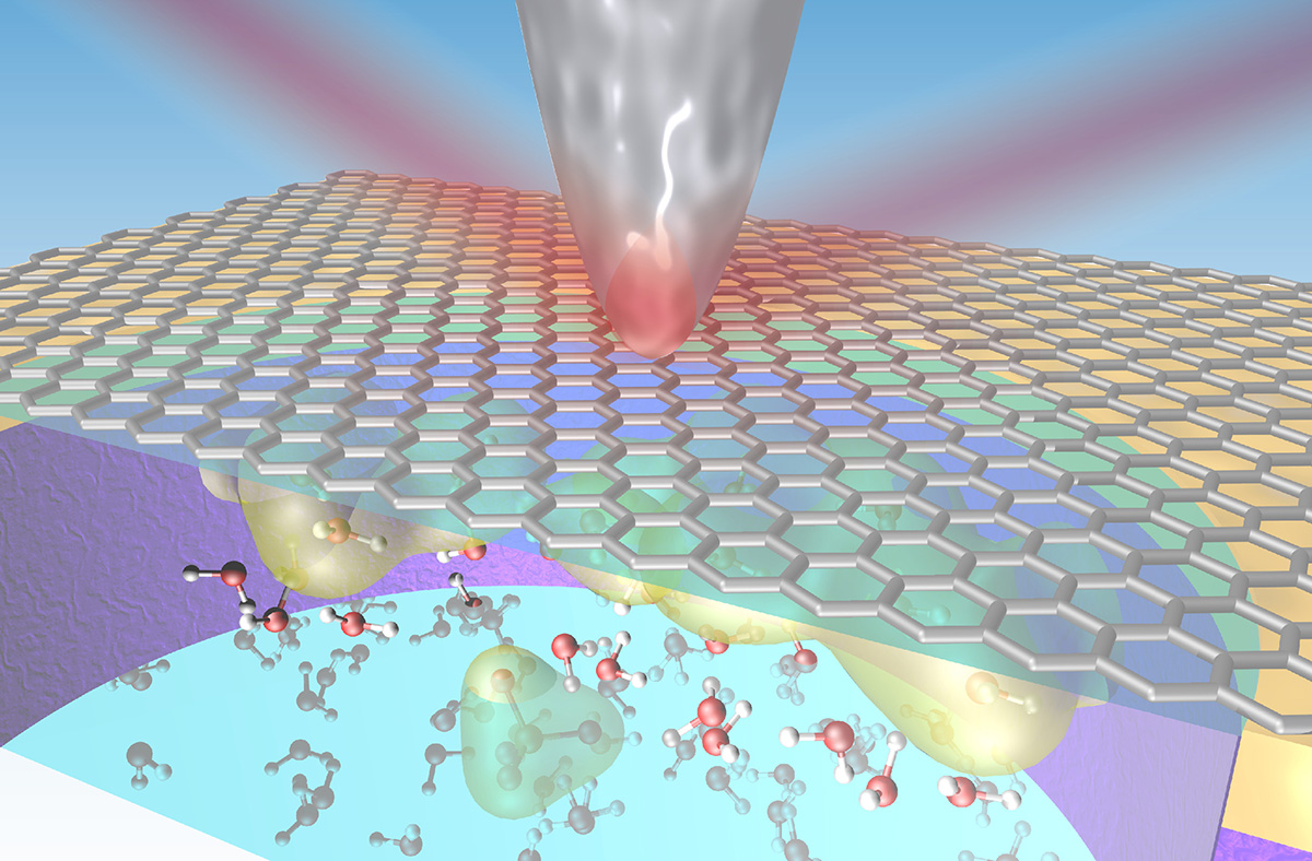 Infrared (IR) light is focused onto the sharp metallic tip of an atomic force microscope (AFM), enabling the acquisition of vibrational spectra from a graphene–liquid interface. Since the enhancement of the IR around the AFM tip decays exponentially with distance, with a decay length on the order of the tip radius, the resulting spectra should be sensitive to the layers of water within the decay length, which includes the first few molecular layers.