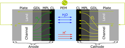 Schematic of the physical domain for the 2-D MEA model.