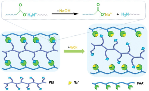 Schematic of New Revesible Crosslinked Polymer Binder