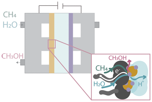 A simplified schematic of a methane-to-methanol MEA system, with an inset of the catalyst layer. At the catalyst layer, the methane reacts with water to produce methanol, protons, and electrons.