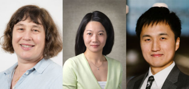 (from left) Marca Doeff, Guoying Chen, and Eongyu Yi (Credit: Berkeley Lab)