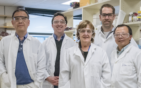 From left: BSE staff scientist Bo Hang, ETA staff scientist Hugo Destaillats, ETA retiree affiliate Lara Gundel, BSE staff scientist Antoine Snijders, BSE senior scientist Jian-Hua Mao.