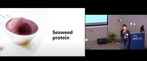 Amanda Stiles, CTO of UMARO Foods, described the company’s development of alternative protein made from seaweed
