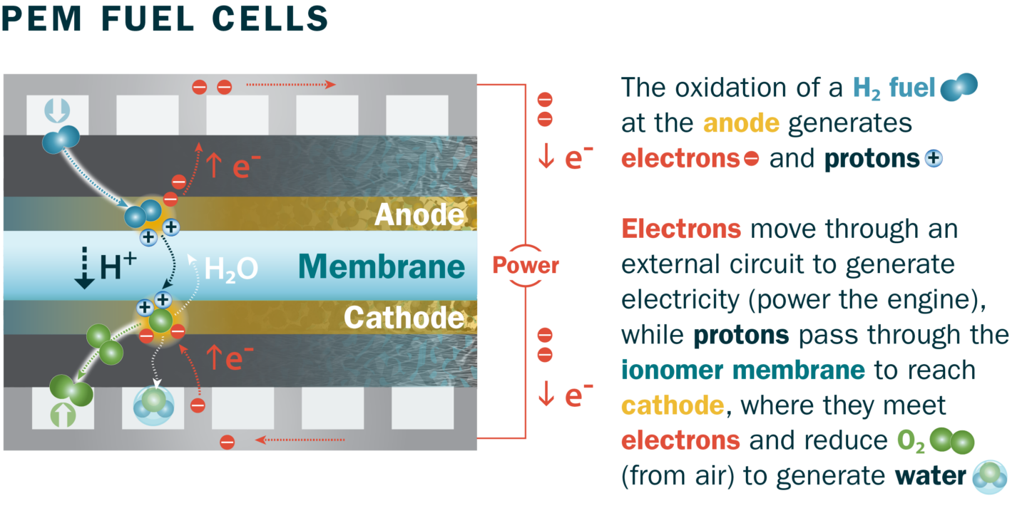 Graphic PEM fuel cell illustration. "The oxidation of a H2 fuel at the anode generates electrons and protons. Electrons move through an external circuit to generate electricity (power the engine) while protons pass through the ionomer membrane to reach the cathode, where they meet electrons and reduce O2 (from air) to generate water. (Credit: Ahmet Kusoglu)
